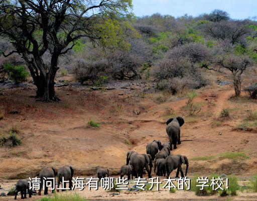 專升本心理學(xué)哪個學(xué)校,廣東有哪些特色學(xué)校是心理學(xué)?