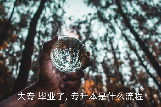 畢業(yè)以后專升本怎么辦,統(tǒng)招高等教育專升本分兩種