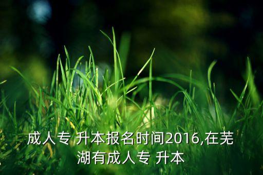 成人專 升本報名時間2016,在蕪湖有成人專 升本