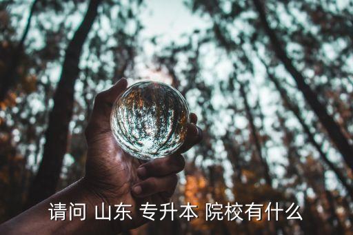 請(qǐng)問(wèn) 山東 專升本 院校有什么