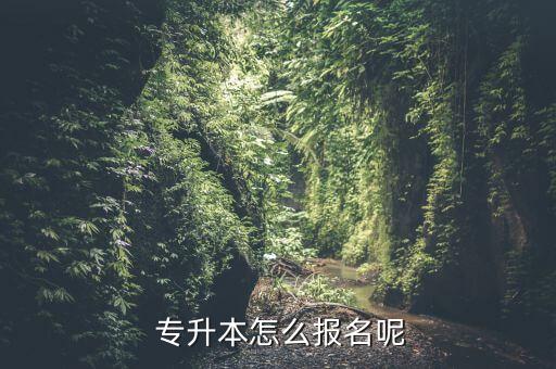  專升本怎么報名呢