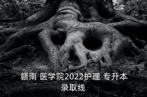  贛南 醫(yī)學院2022護理 專升本錄取線