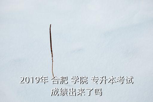 2019年 合肥 學(xué)院 專升本考試成績出來了嗎