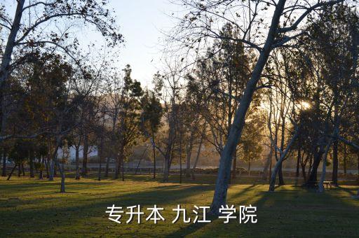  專升本 九江 學院