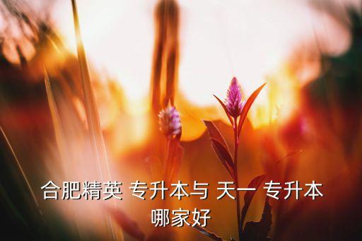 合肥天一專升本靠譜嗎,安徽統(tǒng)招學生專升本培訓學校成立20年