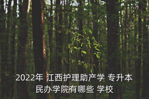 2022年 江西護(hù)理助產(chǎn)學(xué) 專升本民辦學(xué)院有哪些 學(xué)校