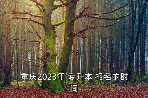  重慶2023年 專升本 報名的時間