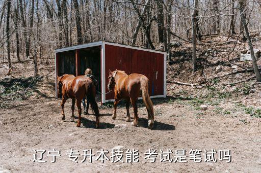  遼寧 專升本技能 考試是筆試嗎