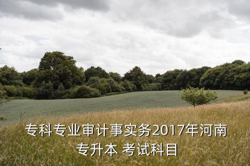  專科專業(yè)審計(jì)事實(shí)務(wù)2017年河南 專升本 考試科目