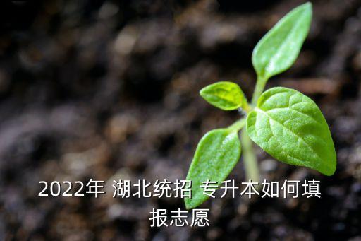 2022年 湖北統(tǒng)招 專升本如何填報志愿