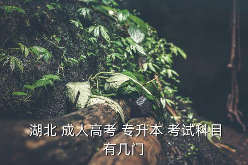 湖北成人專(zhuān)升本考試試題,湖北成人高考考生入口考試考什么?