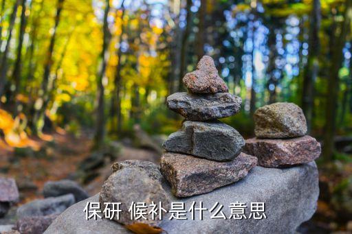 保研 候補(bǔ)是什么意思