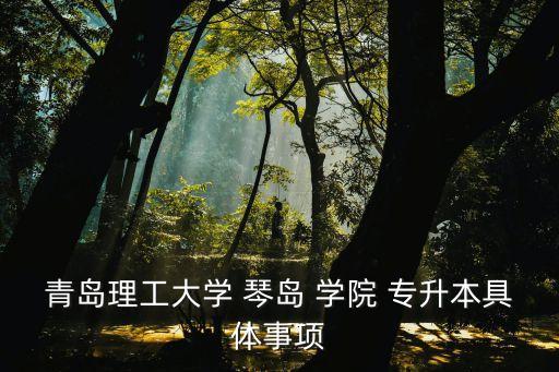 琴島學(xué)院2016專升本,我和你一樣希望被選擇