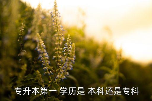  專升本第一 學(xué)歷是 本科還是?？? class=