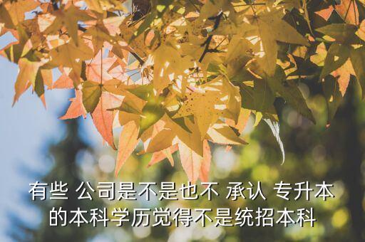 有些 公司是不是也不 承認(rèn) 專升本的本科學(xué)歷覺得不是統(tǒng)招本科