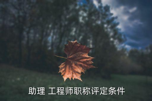  助理 工程師職稱評(píng)定條件