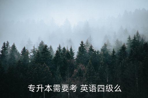  專升本需要考 英語(yǔ)四級(jí)么