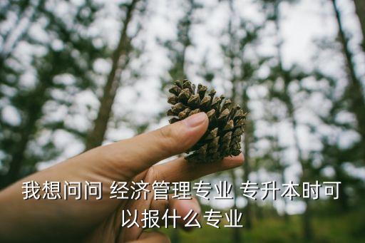 我想問問 經(jīng)濟(jì)管理專業(yè) 專升本時可以報(bào)什么專業(yè)