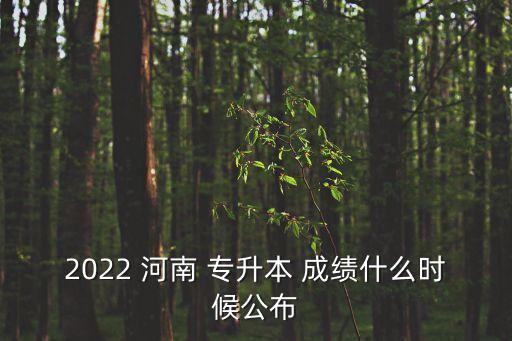 河南專升本考試查成績查詢,成人高校招生考試成績查詢方法如下