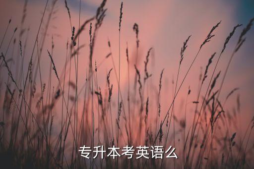  專升本考英語么