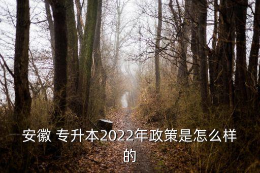 安徽 專升本2022年政策是怎么樣的