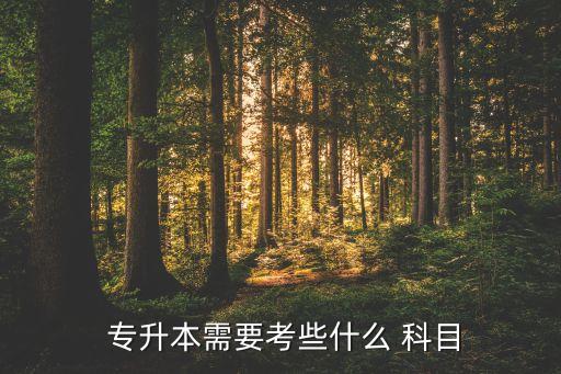 計信專升本考什么科目,山東省專升-2/嘗試英語/政治不考綜