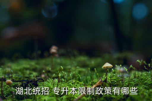 湖北專升本全日制是什么制度,湖北統(tǒng)招專升本有哪些限制性政策