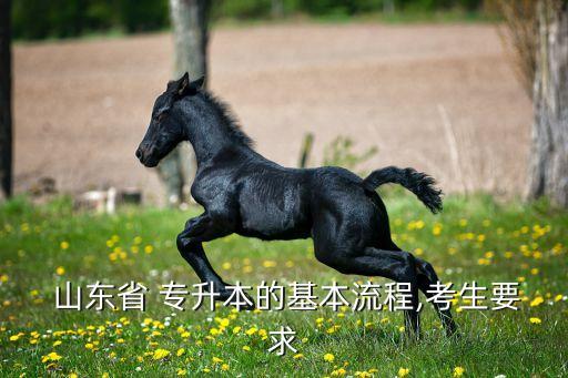 山東省專升本信息網(wǎng),2022年山東專升本考試報(bào)名時(shí)間已敲定