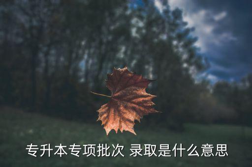  專升本專項批次 錄取是什么意思