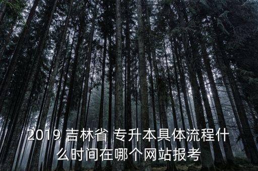 2019 吉林省 專升本具體流程什么時(shí)間在哪個(gè)網(wǎng)站報(bào)考