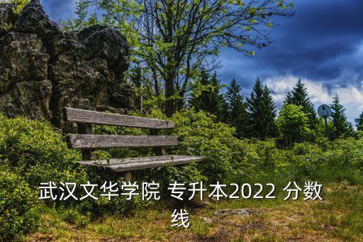 武漢文華學院 專升本2022 分數(shù)線