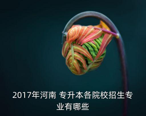 2017年河南 專升本各院校招生專業(yè)有哪些