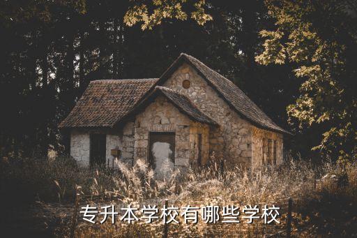 泉州師范院專升本,五所專升本學校包括濱州大學和山東醫(yī)學院