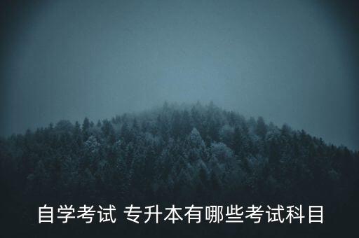 江蘇專升本 工商管理,江蘇省高等學(xué)府新?？瓢嬗心男I(yè)?