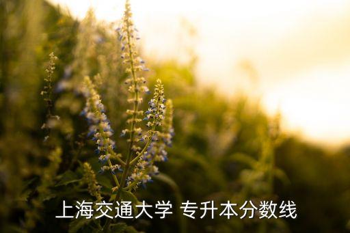 上海交通大學(xué)專升本多少錢,國(guó)內(nèi)自考本專升本學(xué)校很多