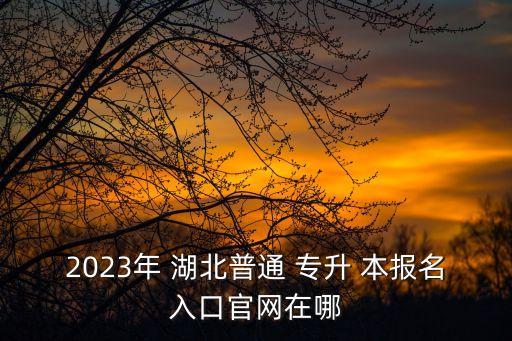 2018年湖北專升本報名窗口,湖北出現(xiàn)第一起確診病例