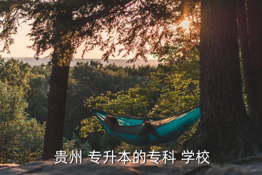  貴州 專升本的?？?學(xué)校