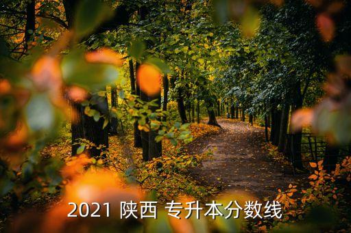 2021 陜西 專升本分數(shù)線