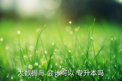 大數(shù)據(jù)與 會計可以 專升本嗎