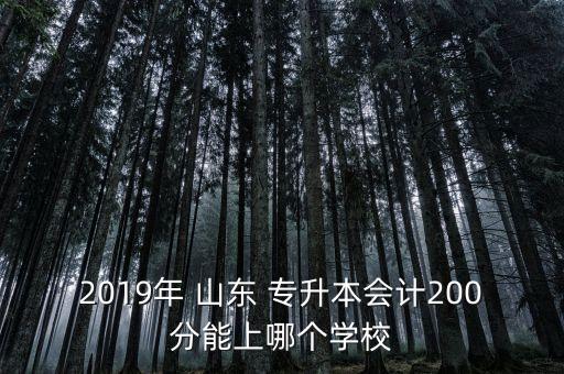 2019年 山東 專升本會計200分能上哪個學(xué)校