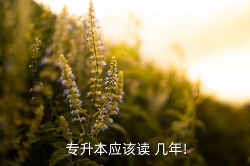  專升本應(yīng)該讀 幾年!