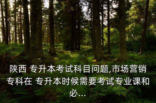 陜西 專升本考試科目問題,市場營銷?？圃?專升本時候需要考試專業(yè)課和必...