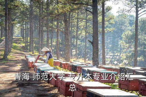  青海 師范大學(xué) 專升本專業(yè)介紹匯總