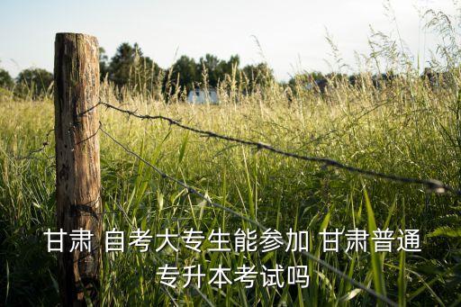  甘肅 自考大專生能參加 甘肅普通 專升本考試嗎