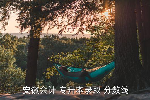  安徽會計 專升本錄取 分數(shù)線