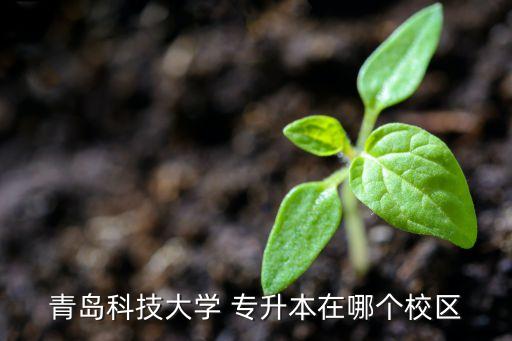 青科大17年專升本,青島科技大學(xué)高密校區(qū)停止招生了!