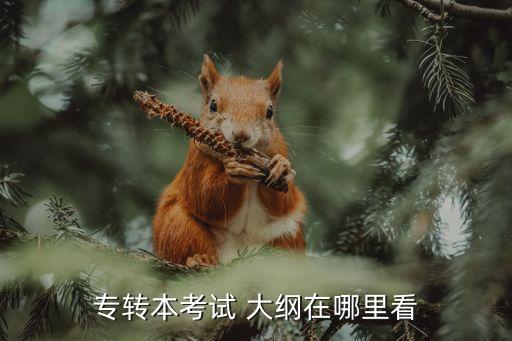 專轉(zhuǎn)本考試 大綱在哪里看