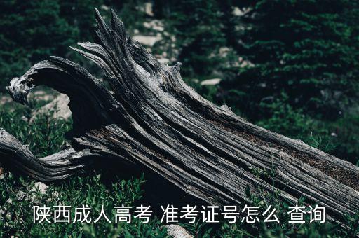 陜西成人高考 準(zhǔn)考證號怎么 查詢