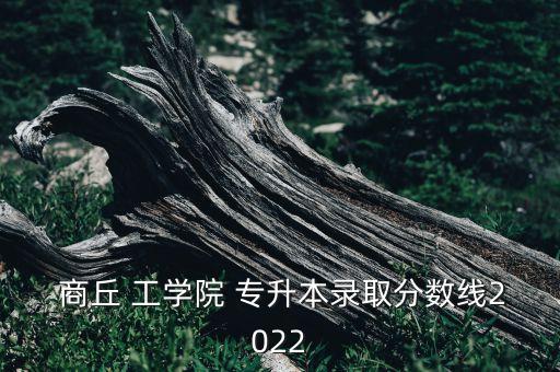  商丘 工學(xué)院 專(zhuān)升本錄取分?jǐn)?shù)線2022