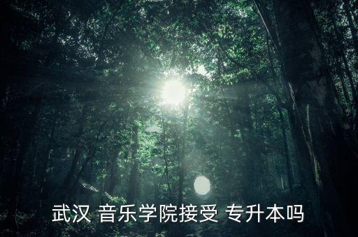 武漢 音樂學(xué)院接受 專升本嗎